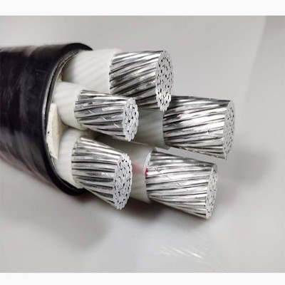 云南国标保检低压阻燃铝芯铠装电缆 ZC-YJLV ZC-YJLV22 1-5芯电线图5