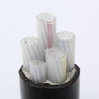 云南国标保检低压阻燃铝芯铠装电缆 ZC-YJLV ZC-YJLV22 1-5芯电线图2
