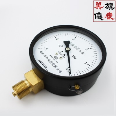 YE100膜盒压力表径向天然气压力表测量微压可定制不锈钢 龙兴