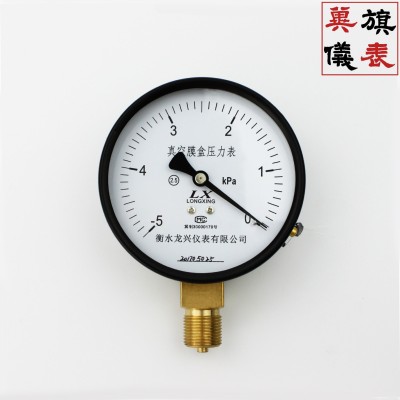 YE100膜盒压力表径向天然气压力表测量微压可定制不锈钢 龙兴图3
