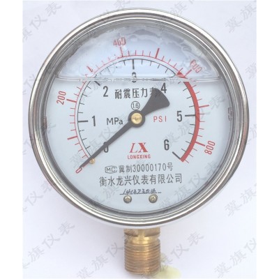 YN-100 耐震压力表油压表防震抗震压力表空压机压力表耐震表图2