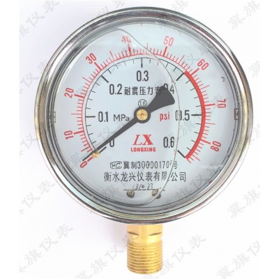 YN-100 耐震压力表油压表防震抗震压力表空压机压力表耐震表