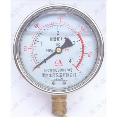 YN-100 耐震压力表油压表防震抗震压力表空压机压力表耐震表图5
