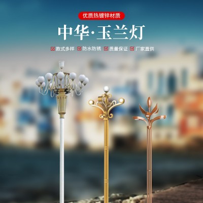 户外玉兰灯灯文旅景区市政主干道工程照明广场高杆景观中华灯厂家图3