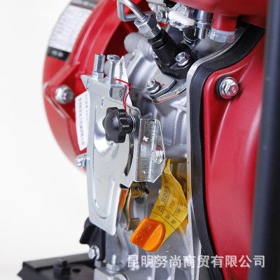 现货供应抽水泵 移动式抽水机 农业农田浇水灌溉抽水机图3