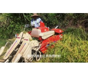 山地丘陵中收割水稻，收割脱粒装袋粉碎秸秆一次完成