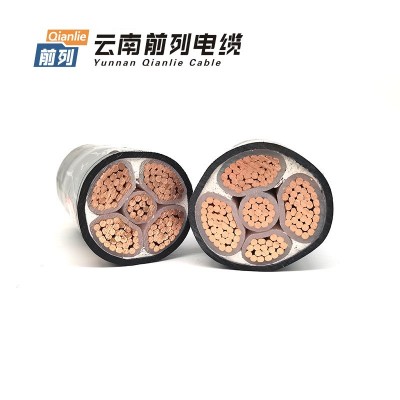云南前列ZC-YJV 0.61kV 阻燃铜芯交联聚乙烯绝缘护套电力电缆图3