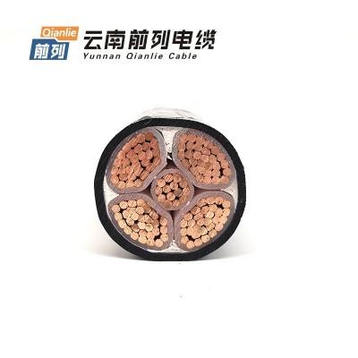 云南前列ZC-YJV 0.61kV 阻燃铜芯交联聚乙烯绝缘护套电力电缆图2