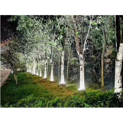 公园林区 抱树灯图3