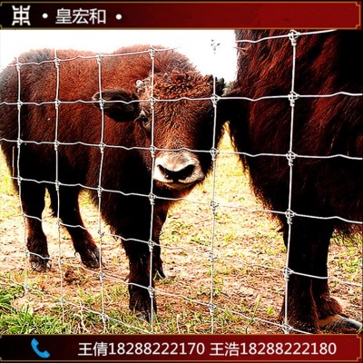 昆明养牛围栏网 养鸡钢丝网 草原围栏防护 镀锌铁丝 云南钢丝网镀
