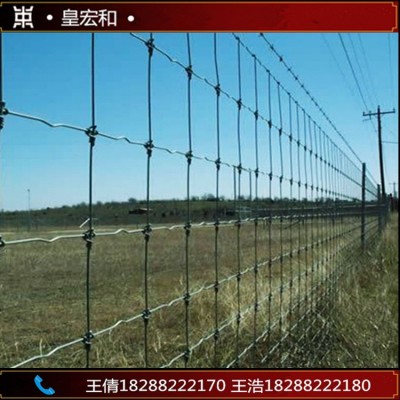 昆明养牛围栏网 养鸡钢丝网 草原围栏防护 镀锌铁丝 云南钢丝网镀图4