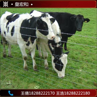 云南昆明供应养牛围栏网养鸡护栏网草原围栏防护网镀锌铁丝网钢丝