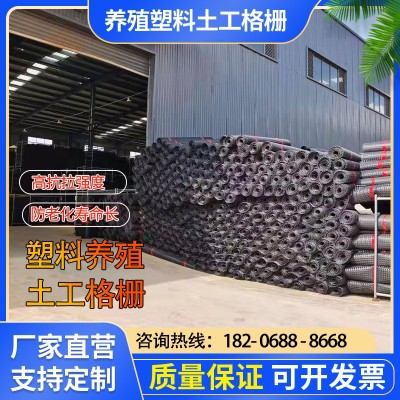 双向拉伸塑料土工格栅聚酯涤纶土工格栅路基加筋加固土工格栅现货图4