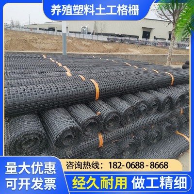 双向拉伸塑料土工格栅聚酯涤纶土工格栅路基加筋加固土工格栅现货图2