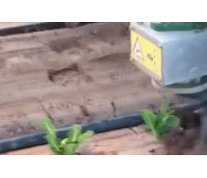 看看什么叫现代化农业