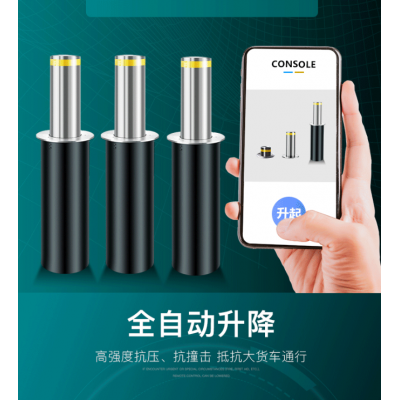 反恐升降柱图5