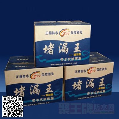 【正禧】堵漏王