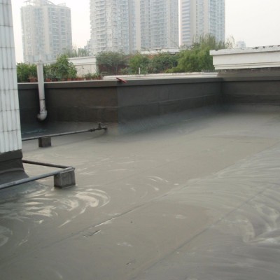 水泥基渗透结晶型防水涂料 屋顶外墙裂缝补漏 强力抗裂 鑫盛牌图2