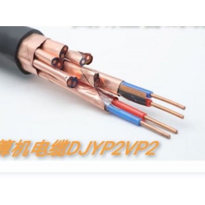 电力阻燃多芯全规格无氧纯铜定制电子计算机计算机电缆DJYPVP图2