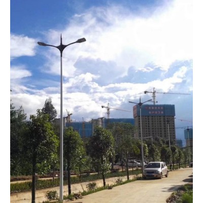 智慧路灯 太阳能公园小区广场路灯 多功能户外照明路灯图2