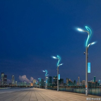 一体化城市智慧灯具 谷星照明 5G互联网技术智慧系统路灯图3
