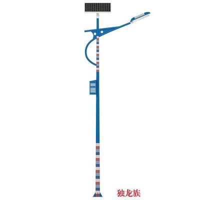 民族风路灯 6米 LED灯源 亮城供应 户外用防水照明灯具