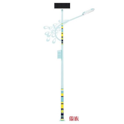 民族风路灯 6米 LED灯源 亮城供应 户外用防水照明灯具图5