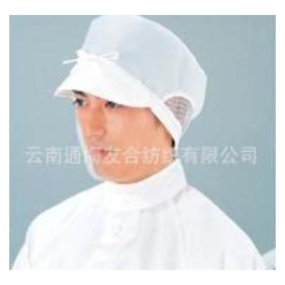 各式各样食品厂专用帽子图3