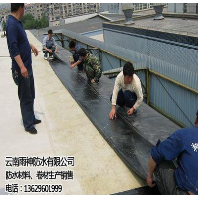 云南雨神防水(图) 防水卷材参考价格图2