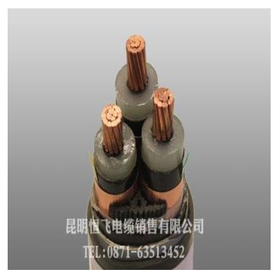 供应恒飞YJV22交联聚乙烯绝缘电力电缆 高压图2