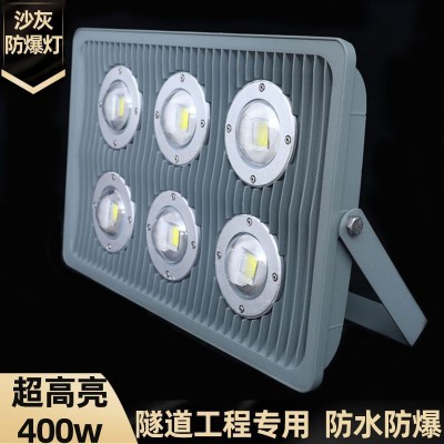 led亚明防爆灯投光灯100w200w加油站工业220v30W低压12V24隧道灯图4