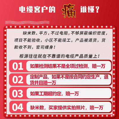 ZB-DJYPVP22铜芯电缆代加工项目合作屏蔽电缆 OEM铠装计算机电缆  10*2*0.5图4