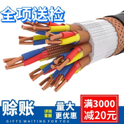 ZB-DJYPVP22铜芯电缆代加工项目合作屏蔽电缆 OEM铠装计算机电缆  10*2*0.5