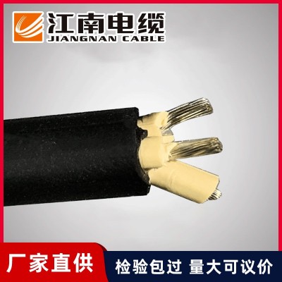 厂家供应CCS船社级证 CEFR3船用橡套电缆2.5 /1.5/4镀锡铜丝批发图4