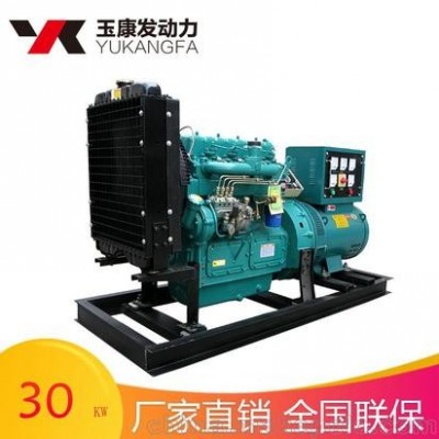 发电机组厂家30kw 云南山东广东浙江江苏加油站工程消防养殖场图2