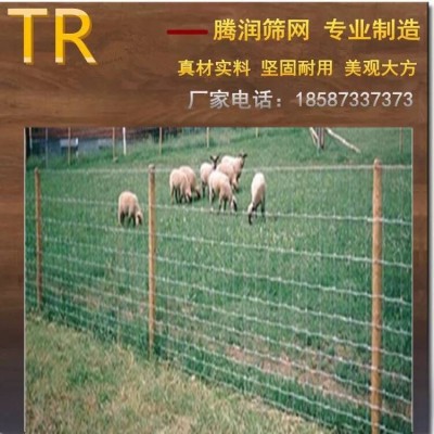 牛栏网围栏厂家 草原网 圈草地的铁丝网 圈山铁丝网 云南昆明图5