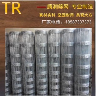 牛栏网围栏厂家 草原网 圈草地的铁丝网 圈山铁丝网 云南昆明