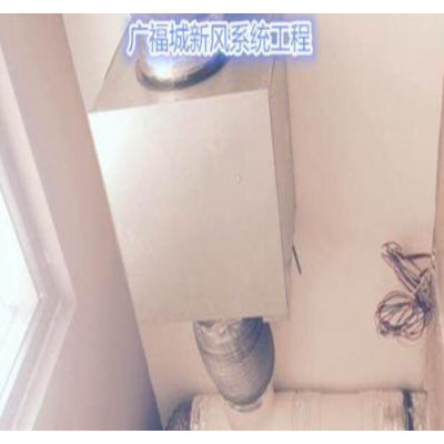 德国进口品牌安鲁莱森新风净化系统