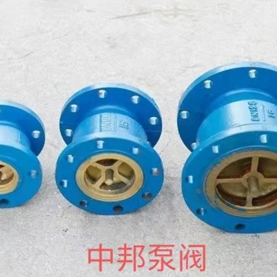 球墨铸铁消声立式止回阀 HC41X-16 耐腐蚀饮水管道防水锤止逆阀图2