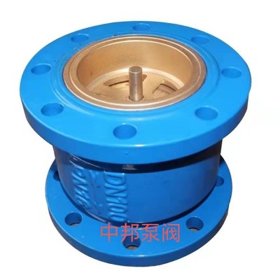 球墨铸铁消声立式止回阀 HC41X-16 耐腐蚀饮水管道防水锤止逆阀