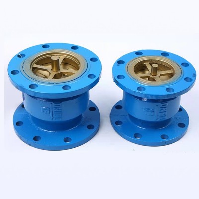 球墨铸铁消声立式止回阀 HC41X-16 耐腐蚀饮水管道防水锤止逆阀图3