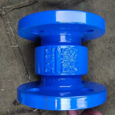 球墨铸铁消声立式止回阀 HC41X-16 耐腐蚀饮水管道防水锤止逆阀图5