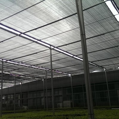 黑色抗老化 防尘网 大棚遮阳网 加密加厚 农用 成利达图5