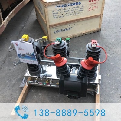 户外高压真空断路器ZW32-12FG 电力耐电弧 10kv熔断器 漏电保护图4